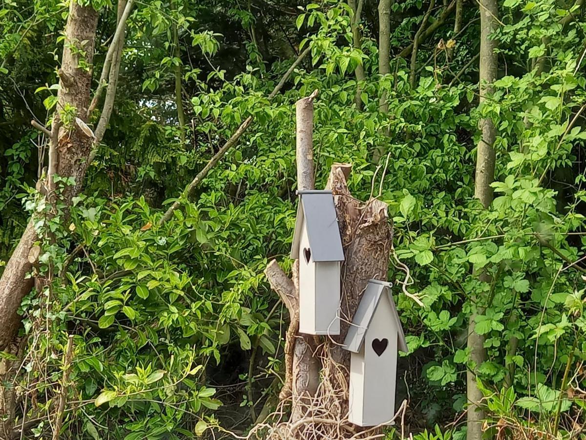 Natuurhuisje Eartswoud Aartswoud Exteriér fotografie