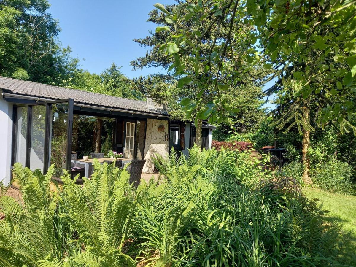 Natuurhuisje Eartswoud Aartswoud Exteriér fotografie
