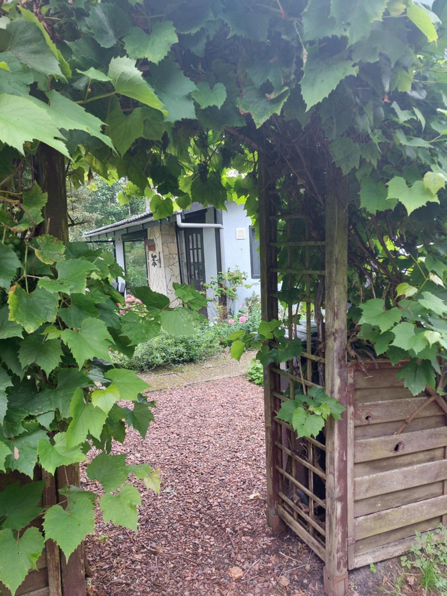 Natuurhuisje Eartswoud Aartswoud Exteriér fotografie